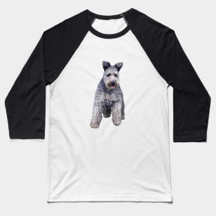 Pumi Dog Baseball T-Shirt